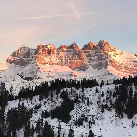 Oeillet 4 シャンプーサン