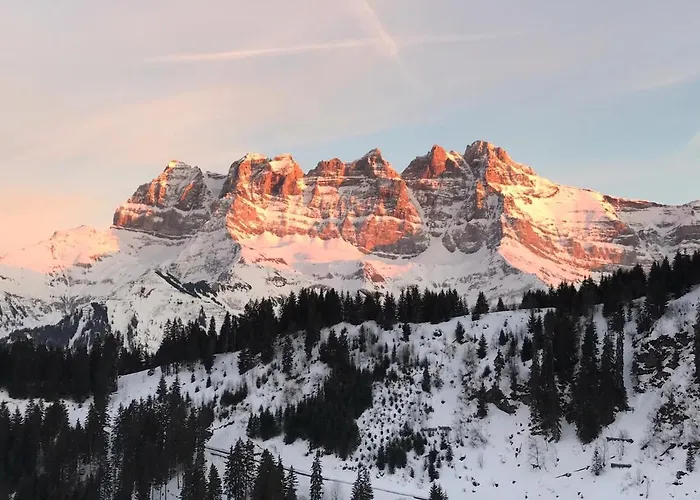 Oeillet 4 Champoussin